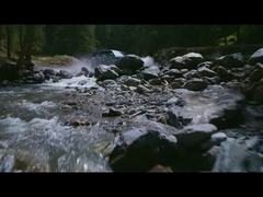 Η λεοπάρδαλη 5 στο νερό