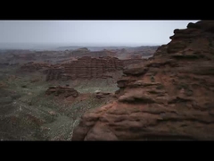 Λέοπαρντ 5 στο βουνό