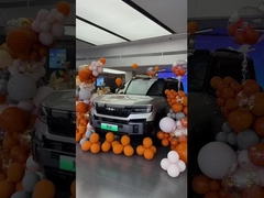 Λεοπάρδαλος 8