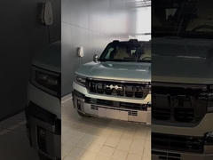 Λεοπάρδαλος 8